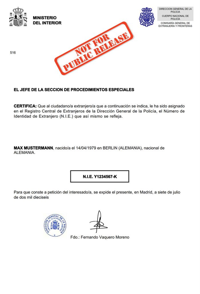 Muster NIE-Nummer. - Quelle: https://steuernummer-spanien.de